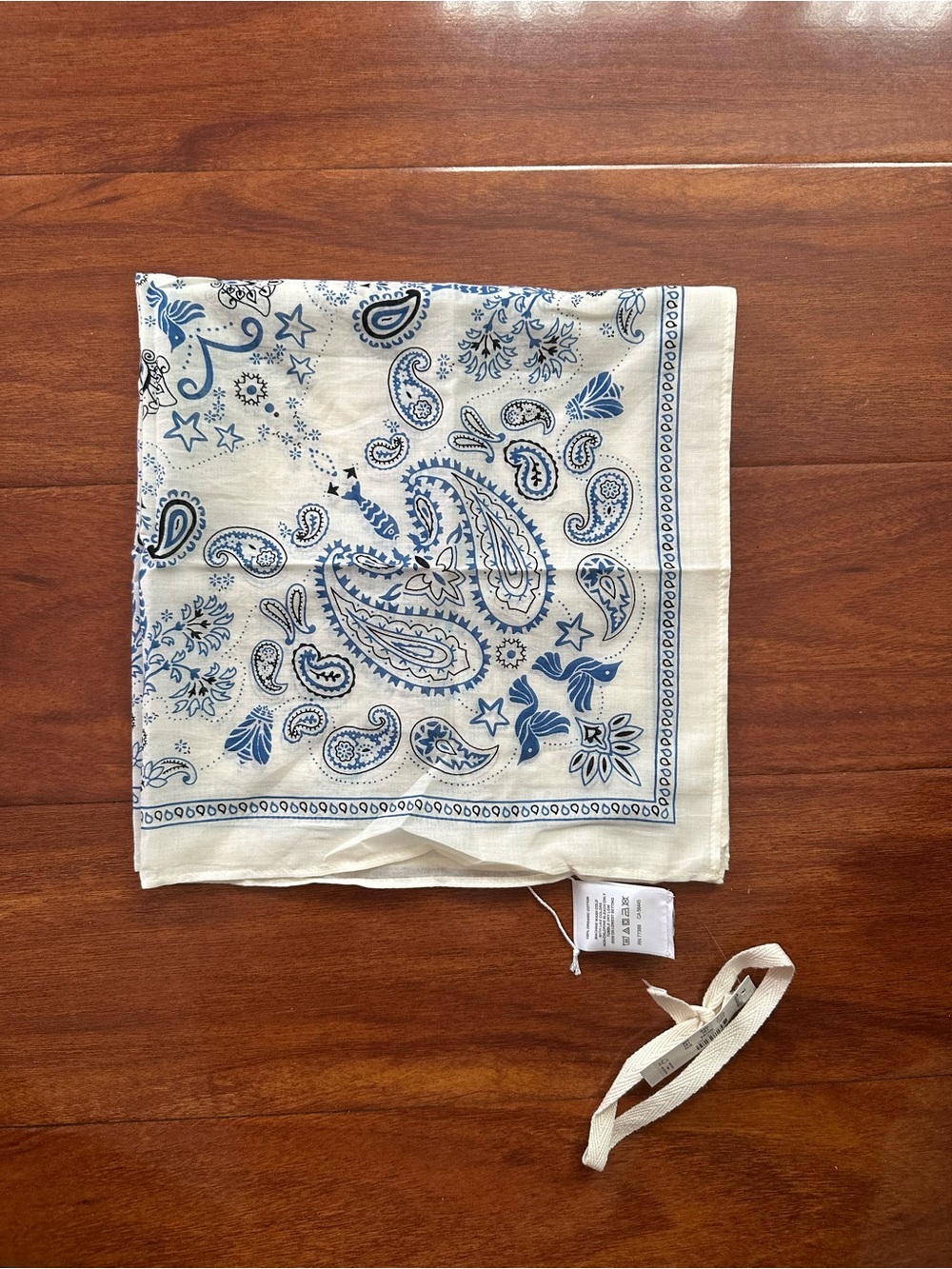 Madewell Organic Cotton Bandana